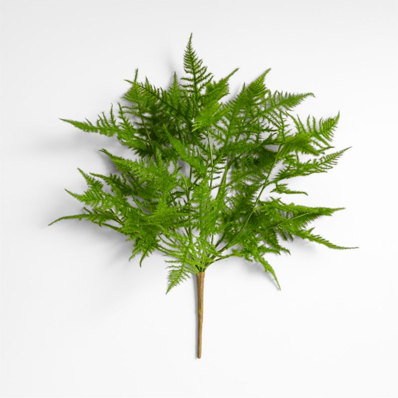 Faux Plumosa Fern Leaf Stem - image 2 of 4