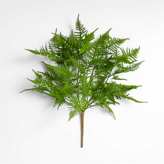 Faux Plumosa Fern Leaf Stem