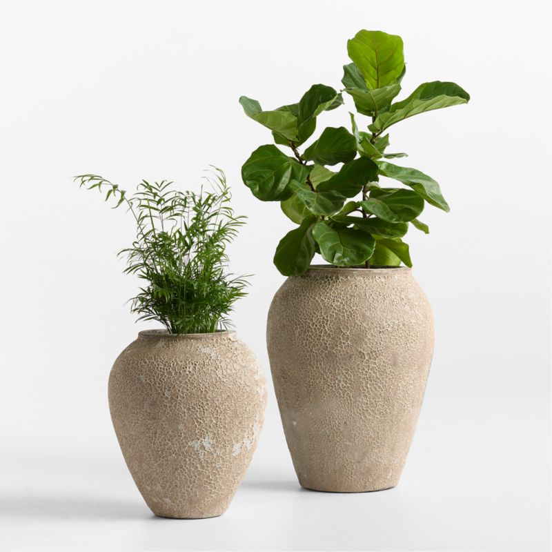 Pompeii 20.87" x 17.52" Indoor/Outdoor Ceramic Planter - image 1 of 6