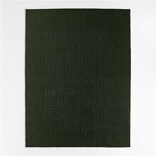 Porto Performance Green Handwoven Area Rug