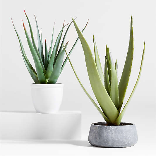 Potted Faux Agave Sisal Plant