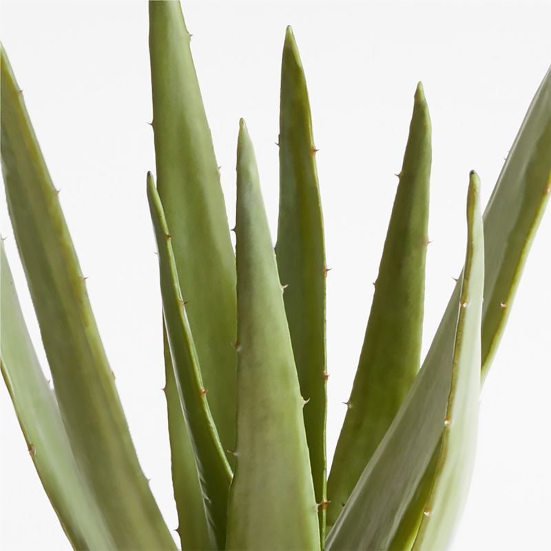 Faux Potted Agave - image 2 of 6