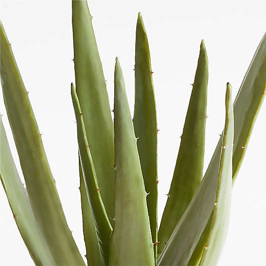 Faux Potted Agave