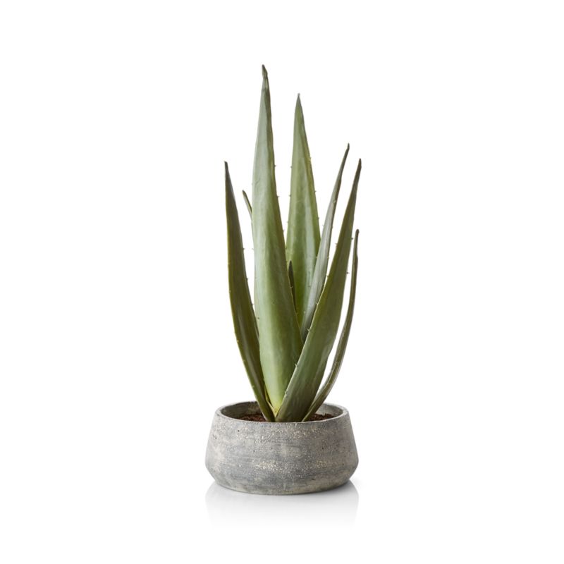 Faux Potted Agave - image 4 of 6