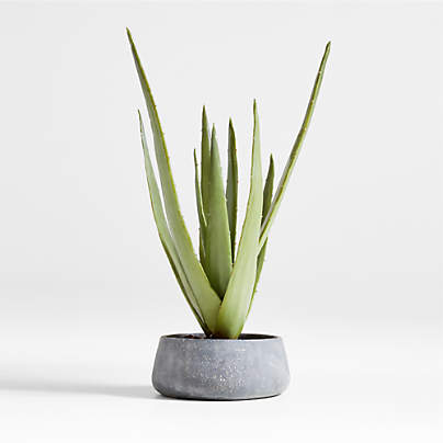 Faux Potted Agave