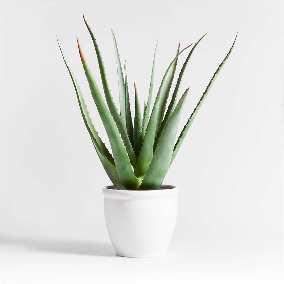 Artificial/Faux Snake Plant in Pot + Reviews