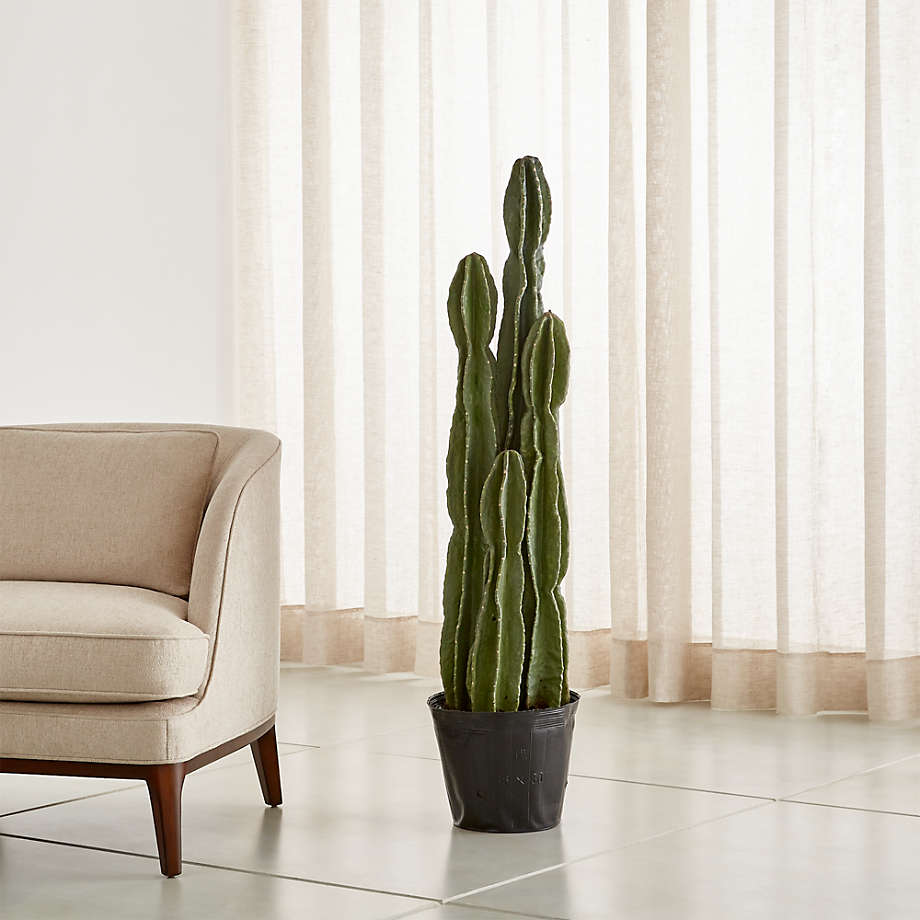 Faux Tall Potted Cactus Plant + Reviews | Crate & Barrel