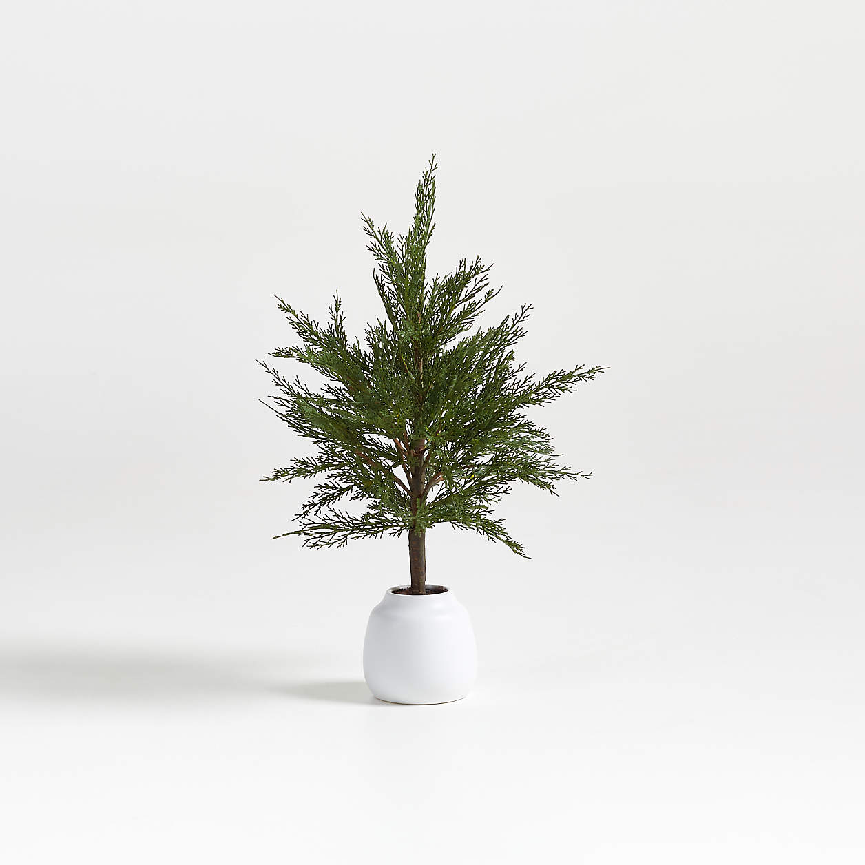 Faux Potted Cypress Tree 24