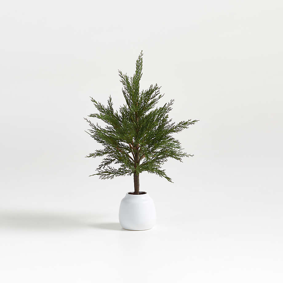 Faux Potted Cypress Tree 24" + Reviews Crate & Barrel Canada