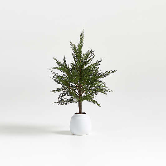 Faux Potted Cypress Tree 24"