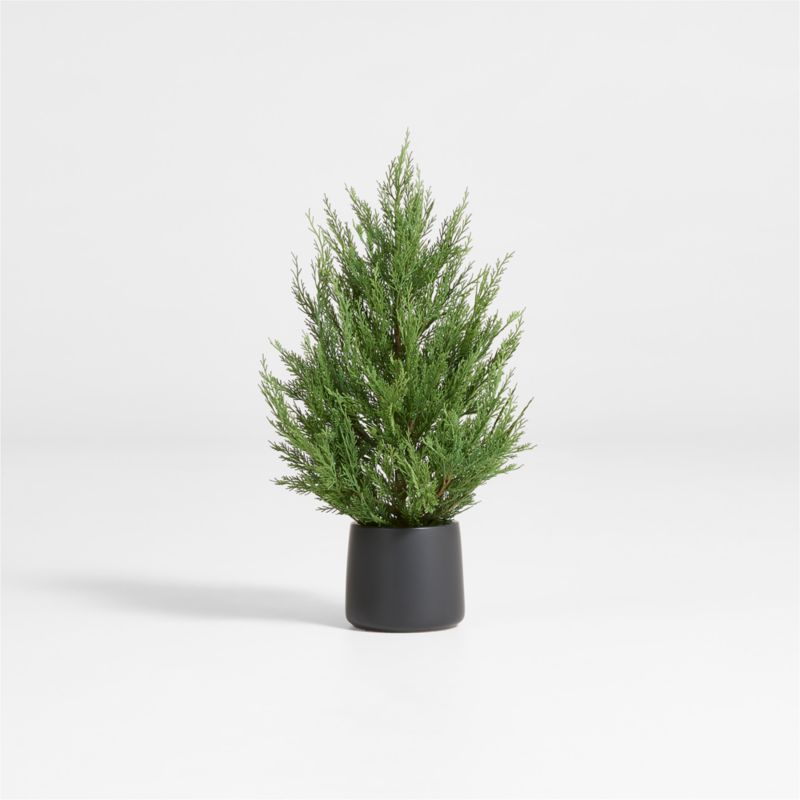 Viewing product image Potted Holiday Cypress Tree 24" - image 1 of 2