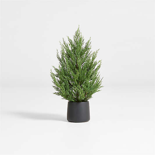 Potted Holiday Cypress Tree 24"