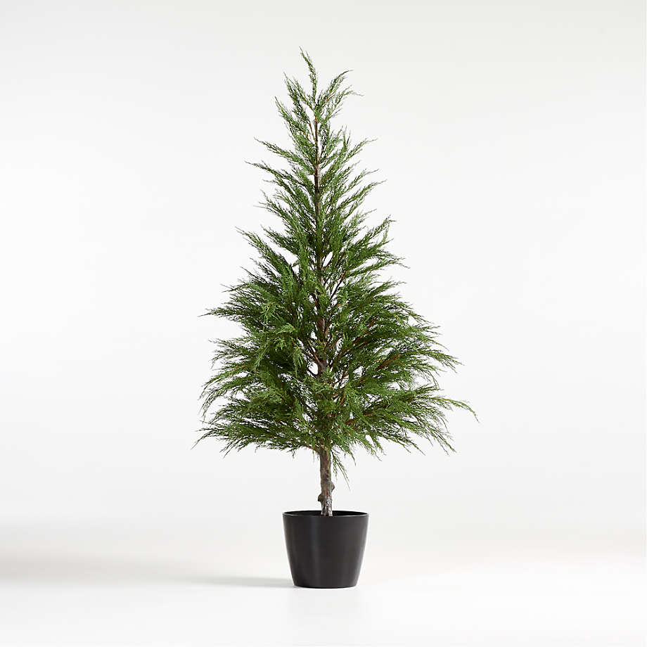 Faux Potted Cypress Tree 6' + Reviews Crate & Barrel
