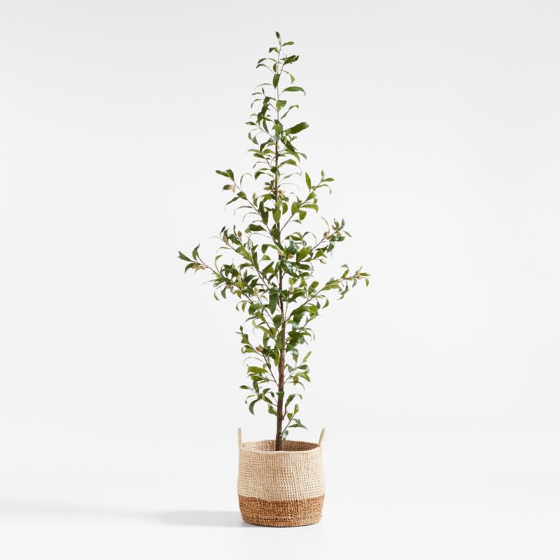 Potted Faux Almond Tree 8' - image 0 of 3