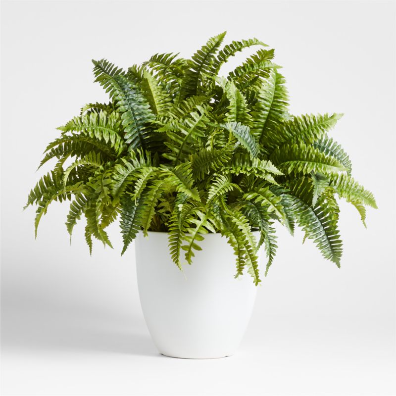 Potted Faux Fern 28" - image 0 of 3