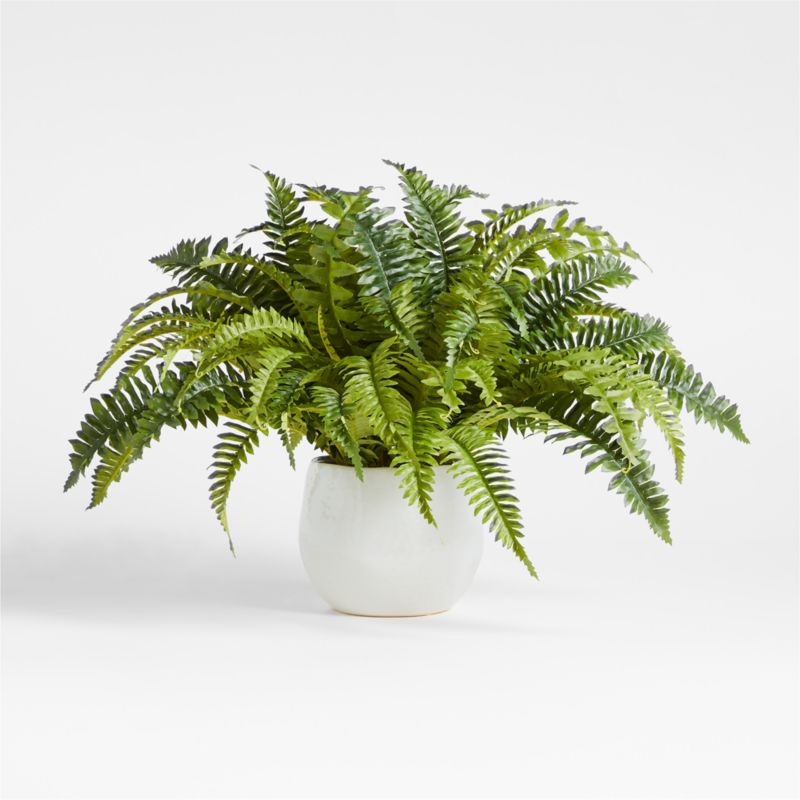 Potted Faux Fern Small 18" - image 0 of 3