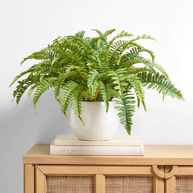 Potted Faux Fern Small 18" - image 1 of 3