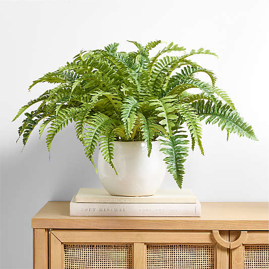 Potted Faux Fern Small 18"