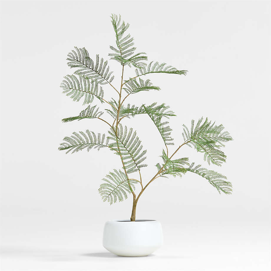 Potted Faux Fern 3' + Reviews