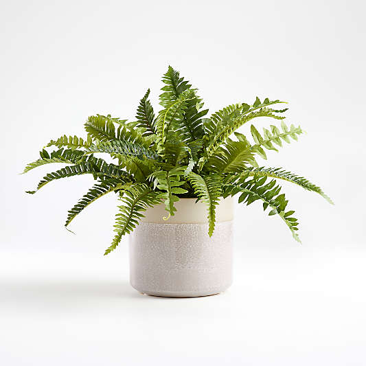 Faux Potted Fern