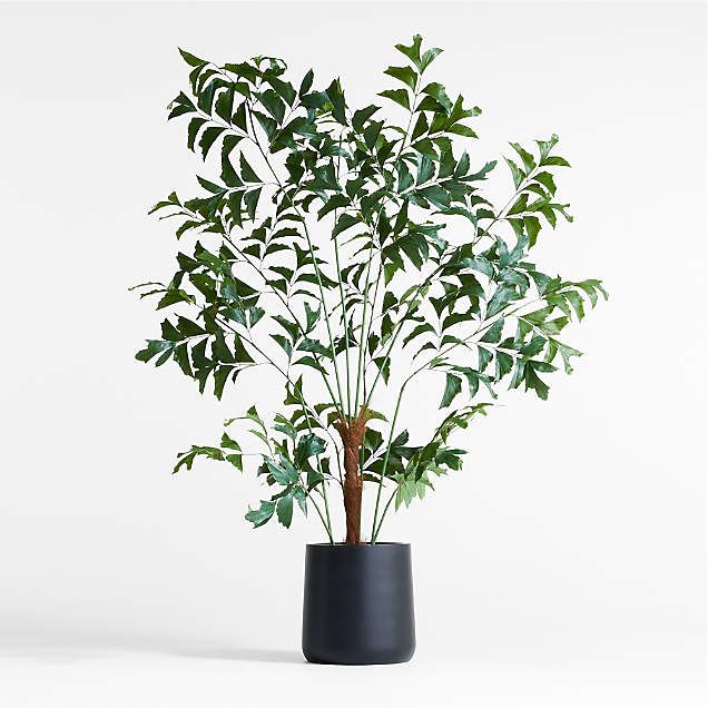 Potted Faux Olive Trees Crate & Barrel