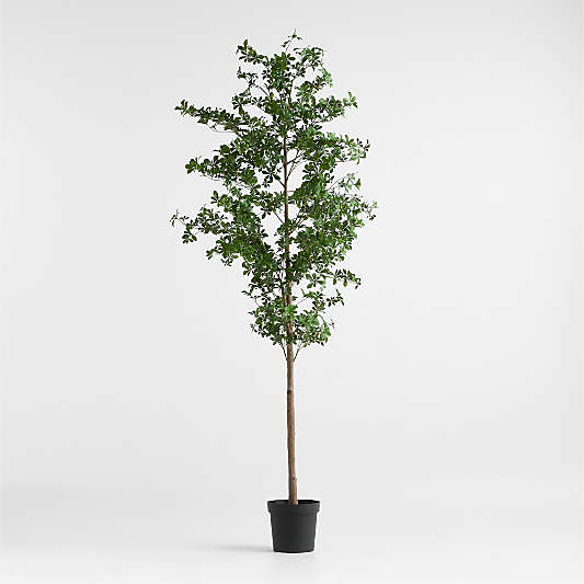 Potted Faux Black Olive Tree 7.5'
