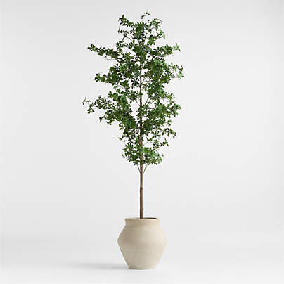 Potted Faux Black Olive Tree 7.5'