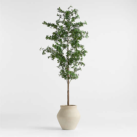 Potted Faux Black Olive Tree 7.5'