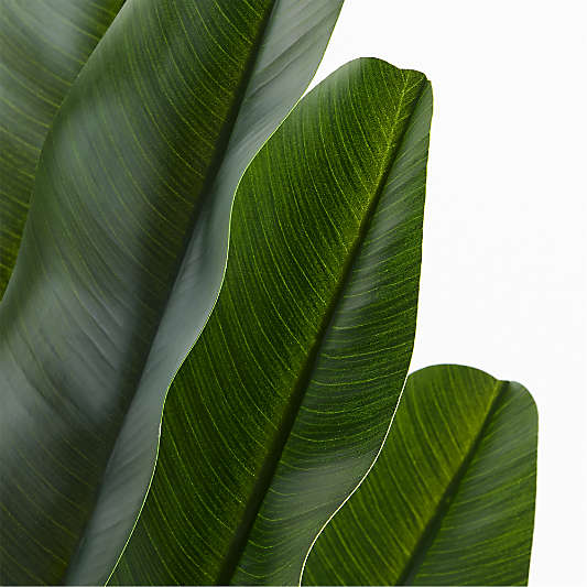 Potted Faux Bird of Paradise Plant 74"