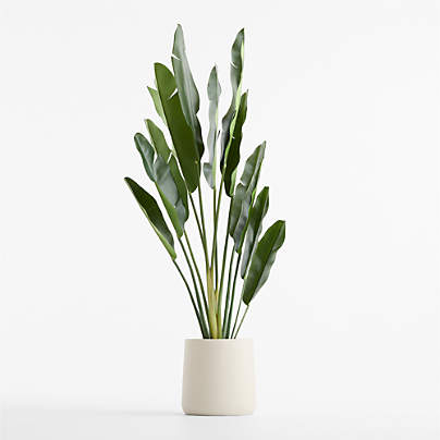 Potted Faux Bird of Paradise Plant 74"