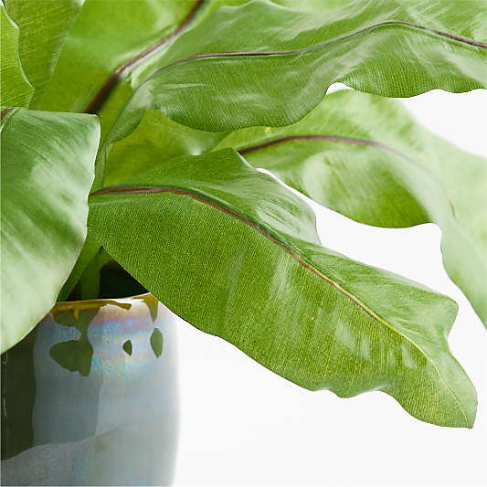 Potted Faux Birds Nest Fern 18.5"