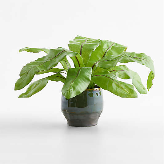 Potted Faux Birds Nest Fern 18.5"