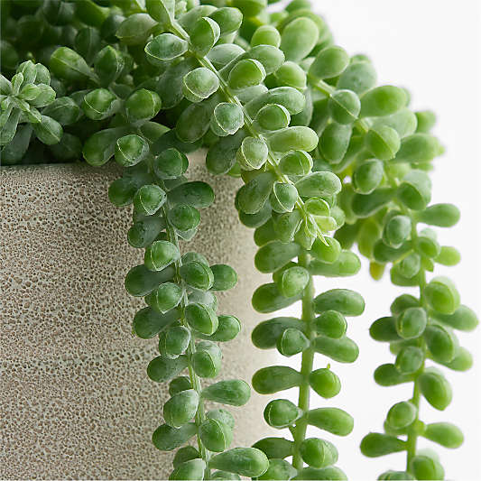 Potted Faux Burros Tail Succulent 7"