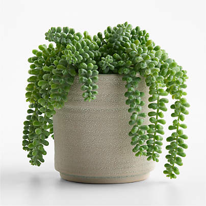 Potted Faux Burros Tail Succulent 7"