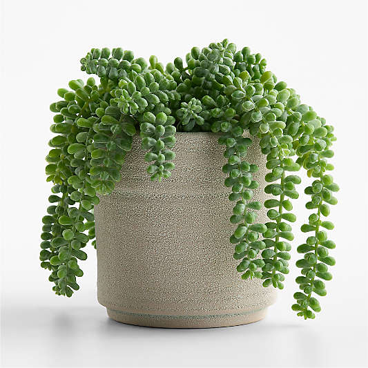 Potted Faux Burros Tail Succulent 7"