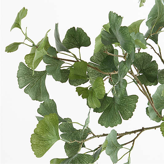 Potted Faux Gingko Tree 8'