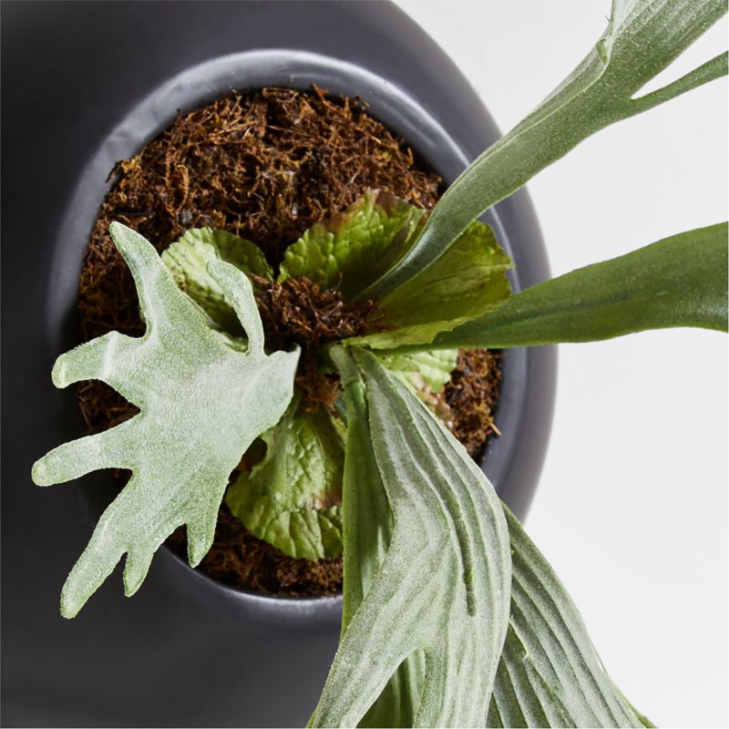 Potted Faux Green Staghorn Fern - image 4 of 5