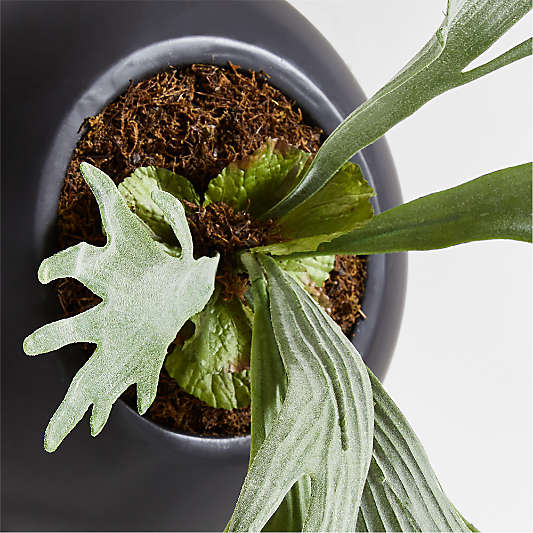 Potted Faux Green Staghorn Fern