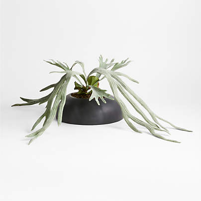 Potted Faux Green Staghorn Fern