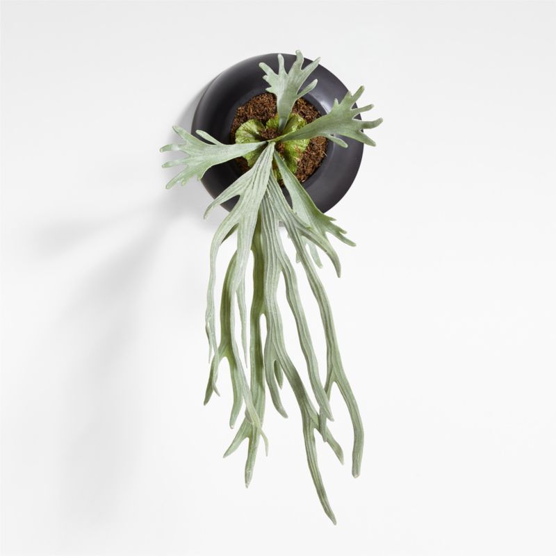 Potted Faux Green Staghorn Fern - image 3 of 5