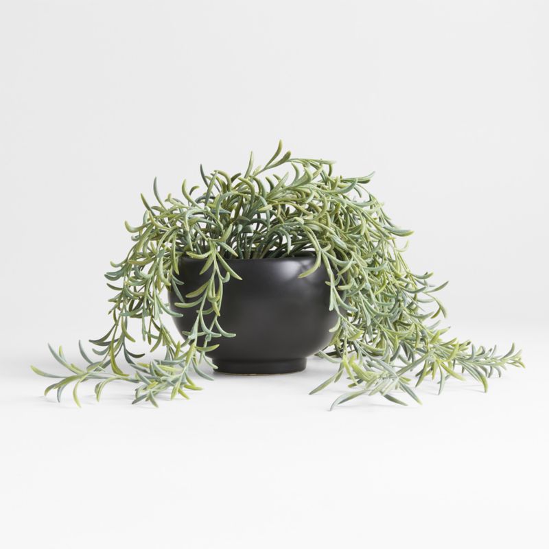 Potted Faux Green String of Fishhooks in Black Pot - image 0 of 4