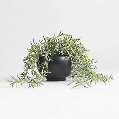 View Potted Faux Green String of Fishhooks in Black Pot details