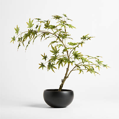 Potted Faux Japanese Maple Tree Green 24"