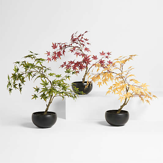 Potted Faux Japanese Maple in Black Pot