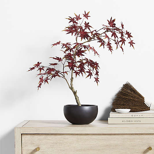 Potted Faux Japanese Maple in Black Pot