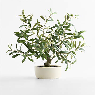 Potted Faux Olive Tree 20"