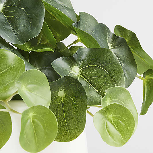 Potted Faux Pilea Plant in White Pot