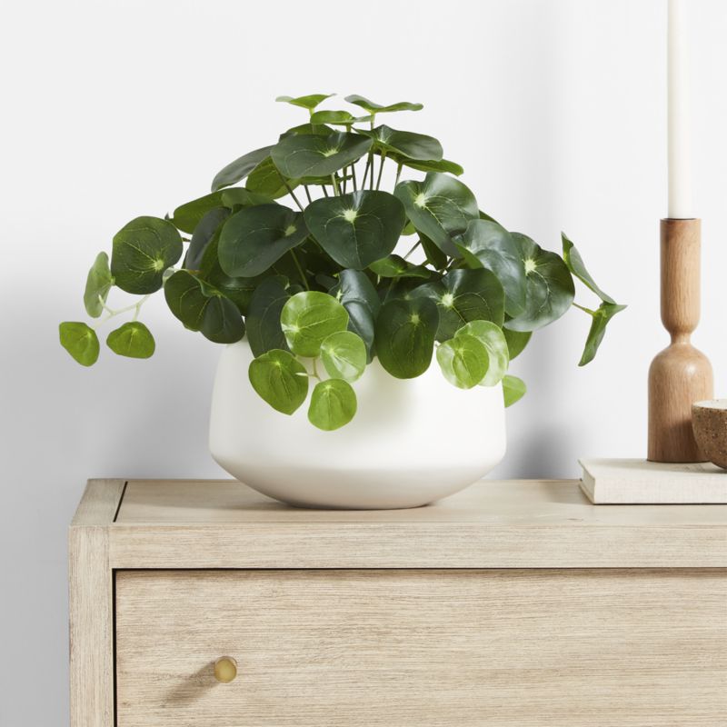 Potted Faux Pilea Plant in White Pot - image 1 of 3