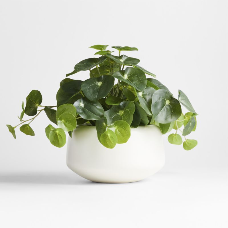 Potted Faux Pilea Plant in White Pot - image 0 of 3