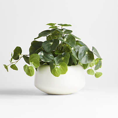 Potted Faux Pilea Plant in White Pot